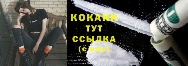 mix Бородино