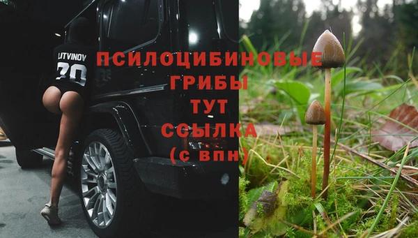 mix Бородино