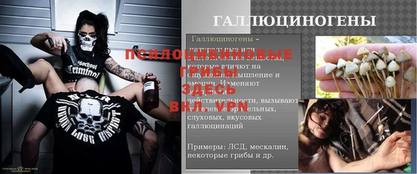 тгк Богородск