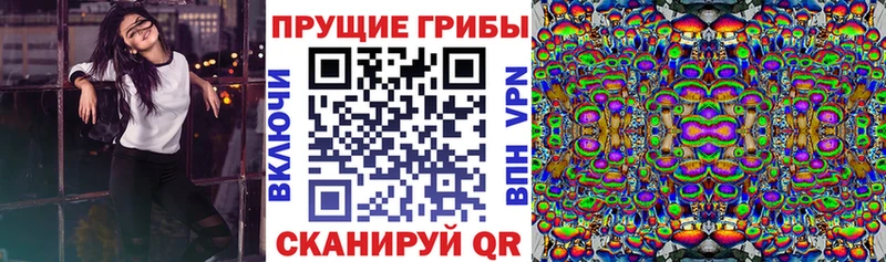 ОМГ ОМГ ТОР  Киренск  Псилоцибиновые грибы Psilocybine cubensis  купить  